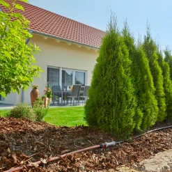 Goutte à Goutte Ensemble Arrosage Goutte à Goutte Rangées De Plantes Gardena 50 M -Espace Piscine Boutique ensemble complet pour installation arrosage goutte goutte rangees de plantes gardena 6