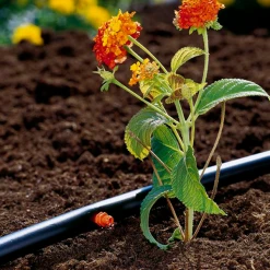 Gardena Goutte à Goutte Goutteur Auto-régulant Arrosage Goutte à Goutte Débit 2L/heure X25 -Espace Piscine Boutique goutteur auto regulant arrosage goutte a goutte ponctuel debit eau 2l heure lot 25 3