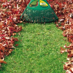Balai à Gazon Balai à Gazon XL 27 Dents Manche Bois Spécial Feuilles Leborgne 369711 -Espace Piscine Boutique imageproduct371873 2