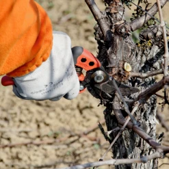 Sécateur Et élagueur Sécateur Ergonomique Poignée Fixe PX-M2 T M Taille Coupe 20mm Bahco -Espace Piscine Boutique secateur coupe ergo